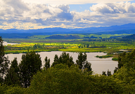Lake Taupo scenic view