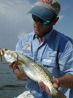 Pine Island Snook