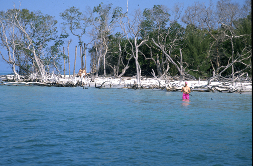 Shore fishing