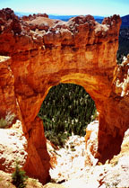 Natural Bridge Photo by Larry Larsen