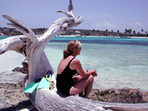 Anguilla Beach