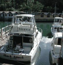 Lucia Deep  Fishing on St Lucia Deep Sea Fishing