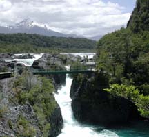 Fishing with Larry Larsen - Chile