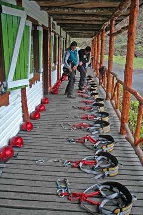 Canopy Zip Line