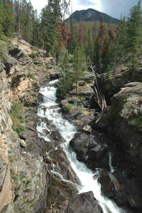 Adams Falls