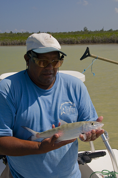 Bonefish