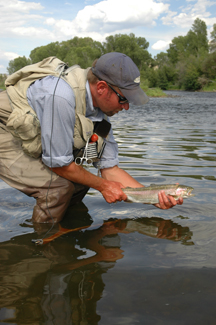 Catch and Release