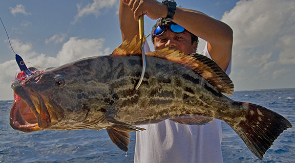 Grouper2