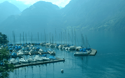 Palm Express Bus views