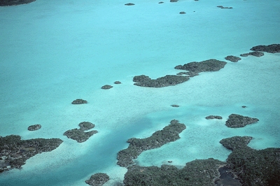 Turks and Caicos Flats
