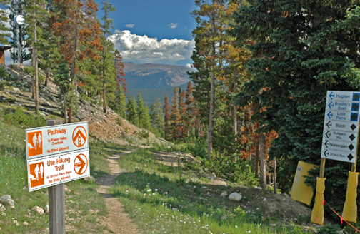 Bike Trails