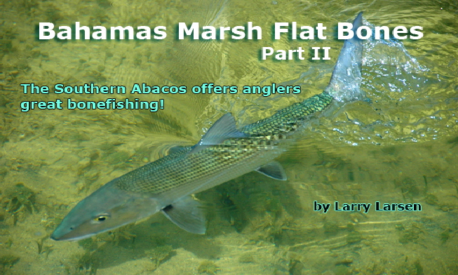 Bahamas Bonefish