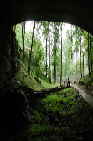 Stalagtites in Cathedral Caverns, Alabama