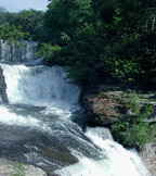 Northern Alabama Water Falls - by Larry Larsen