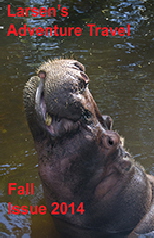 Fall14 hippo
