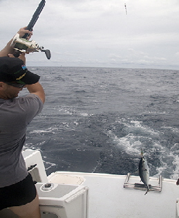 Fiji Offshore Fishing