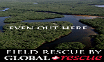 Global logo