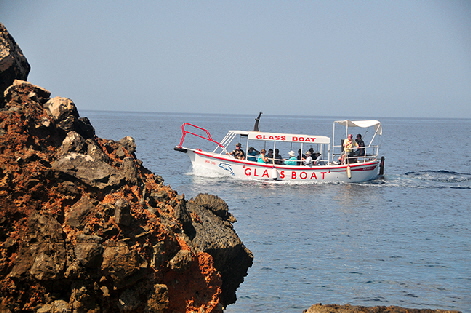 Glass bottom boat tours