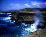 Aruba Shoreline