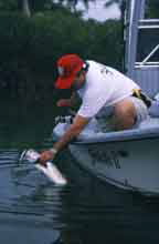 Trout release photo by Larry Larsen