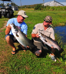 Barramundi in Osceola County