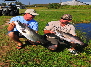 Barramundi in Osceola County