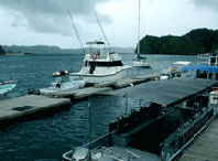 Palau charter fishing