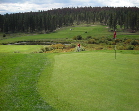 Larry on golf course