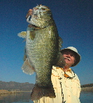 Larry's 10-pounder