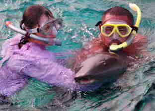 Petting nurse shark