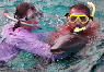 Feeding the nurse sharks