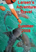 Summer 2008 Cover