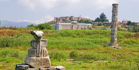Remains of Temple of Diana with mosque, Basilica and Fort in background
