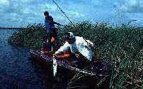 Lake Okeechobee bass fishing
