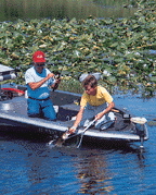 Bass Fishing in pads photo by Larry Larsen