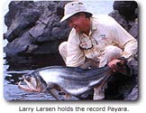 Larry Larsen with World Record Payara Fish