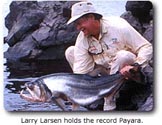 Payara Record